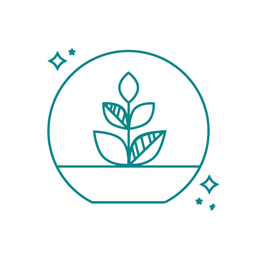 Our space is clean & comfy